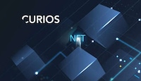 Hybrid NFT Auction Platforms Image 1