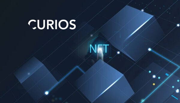 Hybrid NFT Auction Platforms