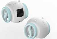 Roving Household Pet Robots Image 2