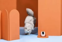 Roving Household Pet Robots Image 5