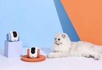 Roving Household Pet Robots Image 7