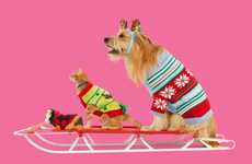 Top 35 Pet Trends in December