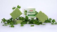 Viral Cilantro Soaps Image 2