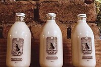 Alcoholic Oat Milk Cocktails Image 1