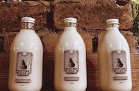 Alcoholic Oat Milk Cocktails