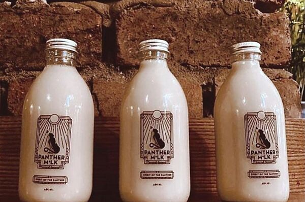 Alcoholic Oat Milk Cocktails