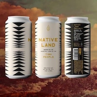 Open-Source IPA Beers Image 1