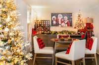 Festive Soda Brand Suites Image 2