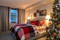 Festive Soda Brand Suites Image 3