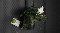 Basket-Inspired Smart Planters Image 4