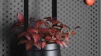 Basket-Inspired Smart Planters Image 6