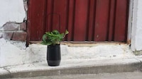 Basket-Inspired Smart Planters Image 7