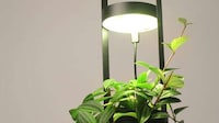Basket-Inspired Smart Planters Image 8