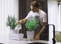 Growth-Accelerating Smart Gardens Image 1