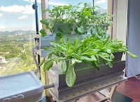 Growth-Accelerating Smart Gardens Image 2