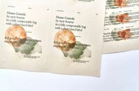 Fully Compostable Packaging Image 3