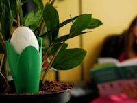 Indoor Greenery Monitors Image 2