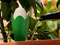 Indoor Greenery Monitors Image 3