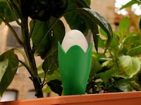 Indoor Greenery Monitors Image 5