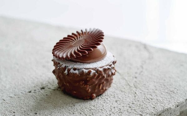 Vegan-Friendly Belgian Chocolates