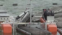 Oyster-Harvesting Water Robots Image 1