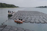 Oyster-Harvesting Water Robots Image 3