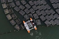 Oyster-Harvesting Water Robots Image 4