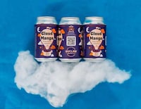 Mango-Infused Sour Ales Image 1