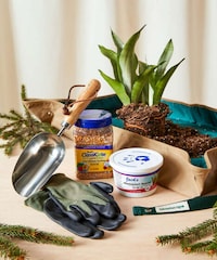 Easy Repotting Kits Image 1