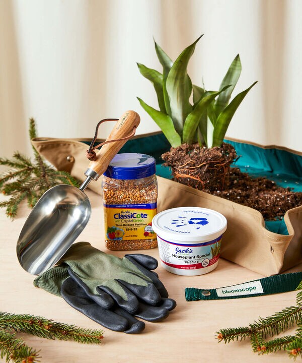 Easy Repotting Kits