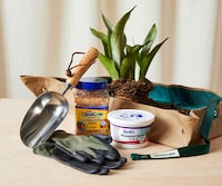 Easy Repotting Kits Image 2