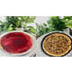Holiday-Themed Cheesecake Pies Image 1