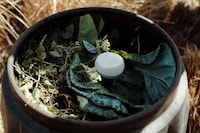 Smart Compost-Tracking Systems Image 4