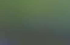 Net-Zero Fast Food Restaurants