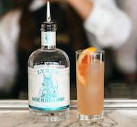 Non-Alcoholic Agave Spirits Image 2