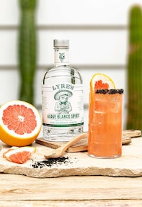 Non-Alcoholic Agave Spirits Image 4
