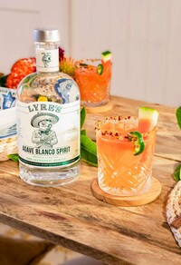 Non-Alcoholic Agave Spirits Image 5
