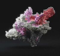 Voice-Informed Gemstones Image 2