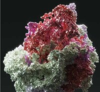 Voice-Informed Gemstones Image 3