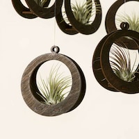 Artsy Hanging Plants Image 1