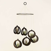 Artsy Hanging Plants Image 2
