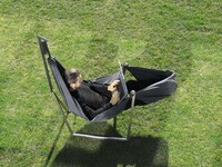 Mobile Outdoor Workspace Chairs Image 3