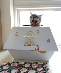 Burger-Themed DIY Cat Houses Image 1
