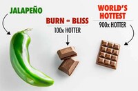 Incredibly Spicy Chocolate Bars Image 5