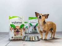 Vegan Dog Food Brands Image 1