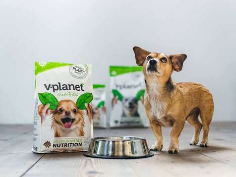 Vegan Dog Food Brands
