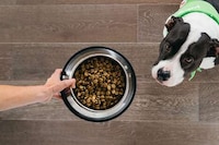 Vegan Dog Food Brands Image 2