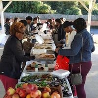 Hunger Relief Initiatives Image 2