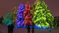 Light-Based Walking Experiences Image 1
