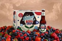 Social Media-Inspired Cream Ales Image 1
